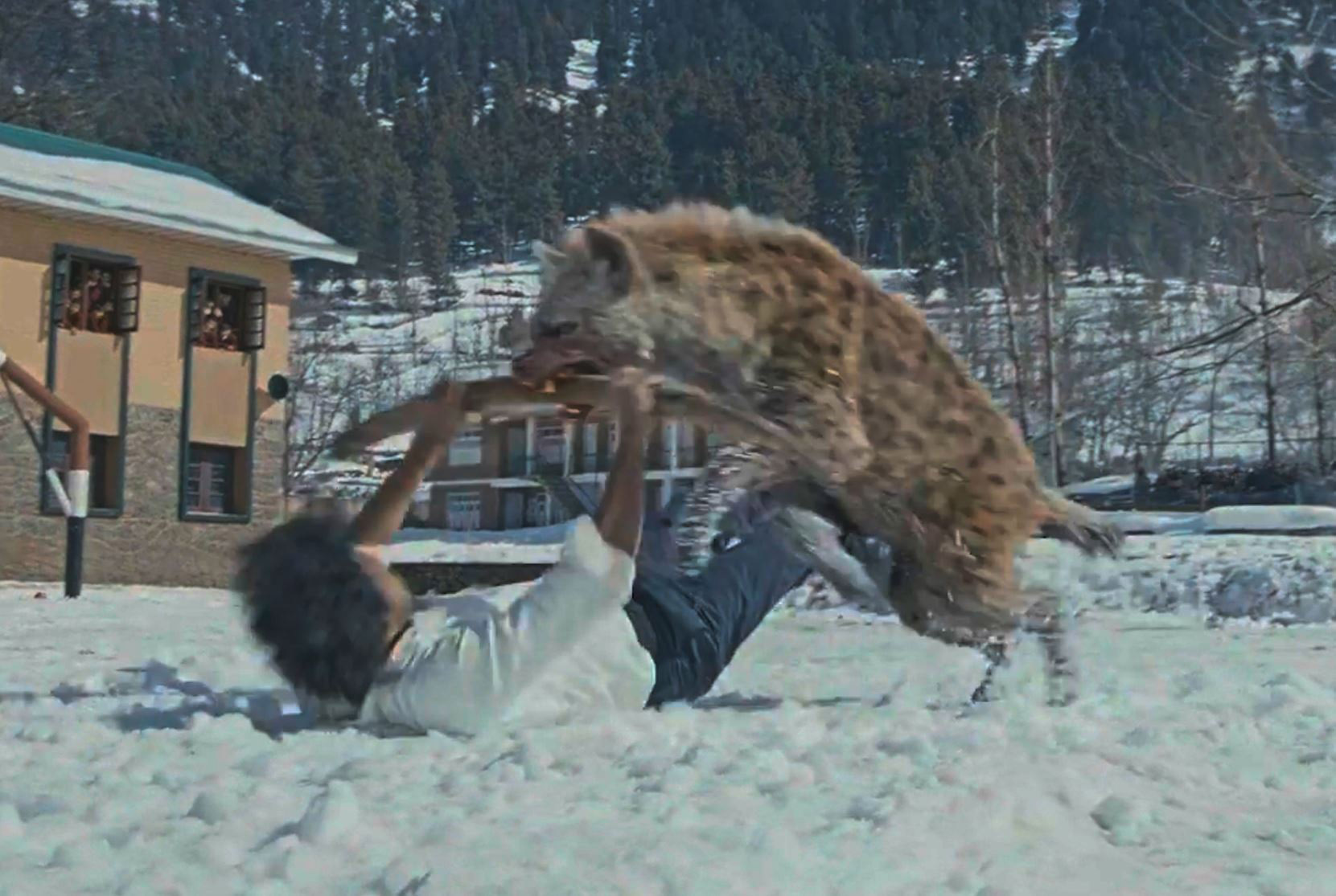 Leo Movie VFX Integration - Amitesh Nandan